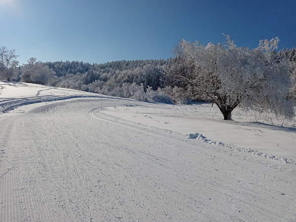 Vacances de fin d’année 2023